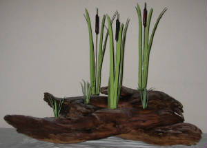 Twisteddriftwood3cattails.JPG